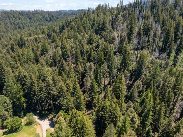 Branson, Boulder Creek, CA 95006
