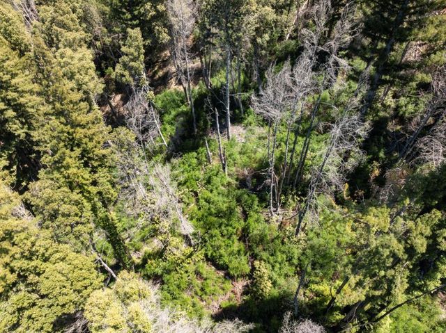 Branson, Boulder Creek, CA 95006