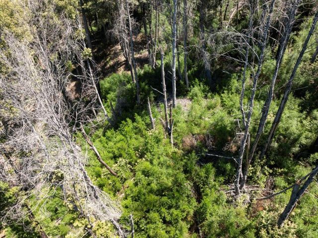 Branson, Boulder Creek, CA 95006