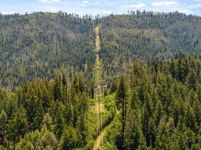 Branson, Boulder Creek, CA 95006