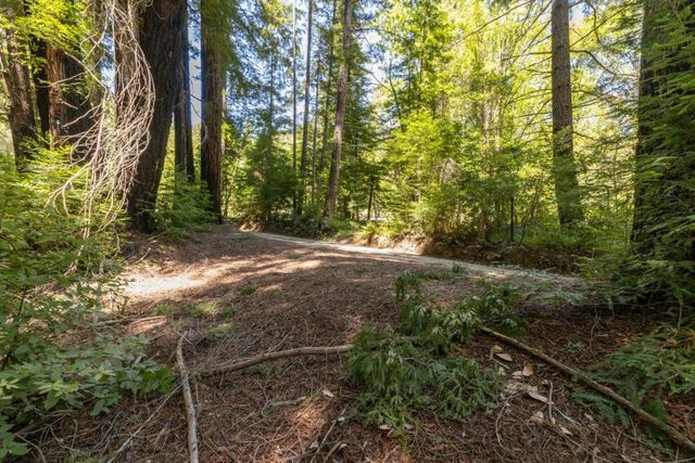 Branson, Boulder Creek, CA 95006