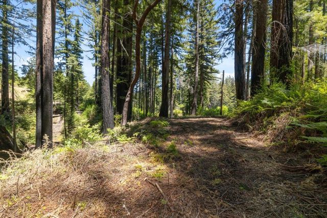 Branson, Boulder Creek, CA 95006