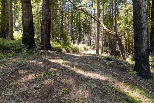 Branson, Boulder Creek, CA 95006