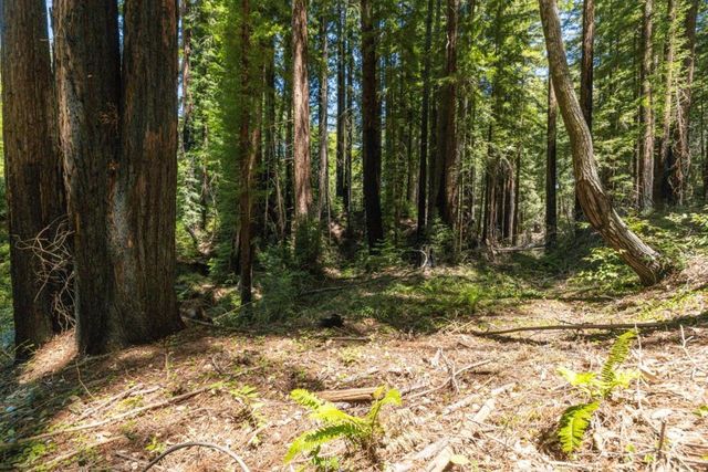 Branson, Boulder Creek, CA 95006