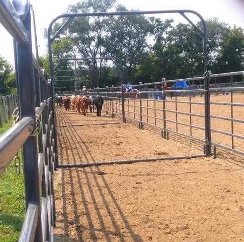 8206 Bull Valley Road, Bull Valley, IL 60098