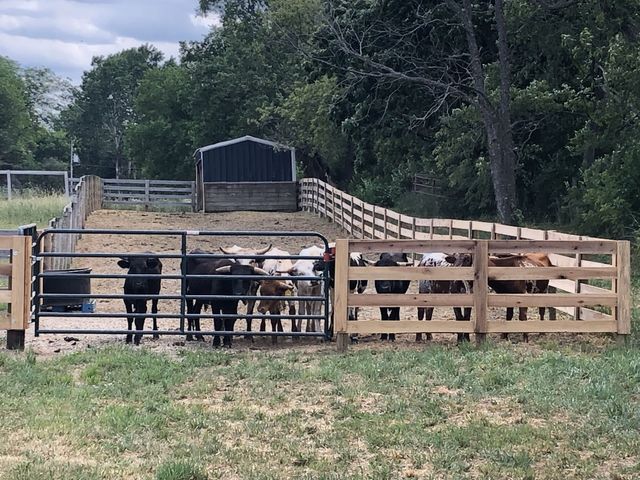 8206 Bull Valley Road, Bull Valley, IL 60098