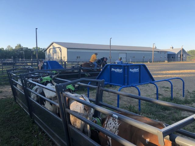 8206 Bull Valley Road, Bull Valley, IL 60098