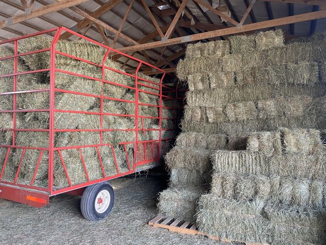 8206 Bull Valley Road, Bull Valley, IL 60098