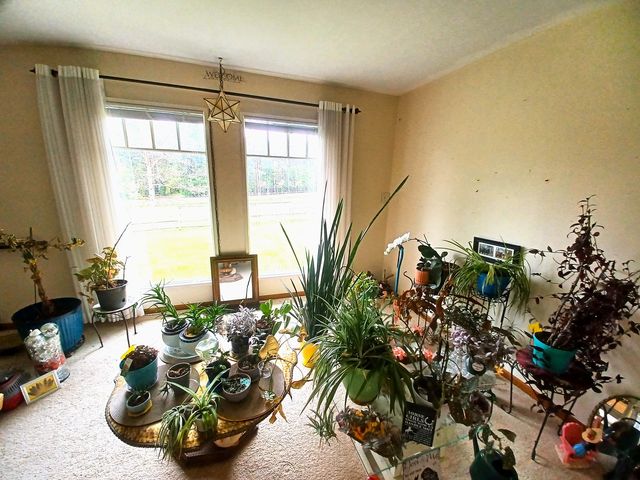 8206 Bull Valley Road, Bull Valley, IL 60098