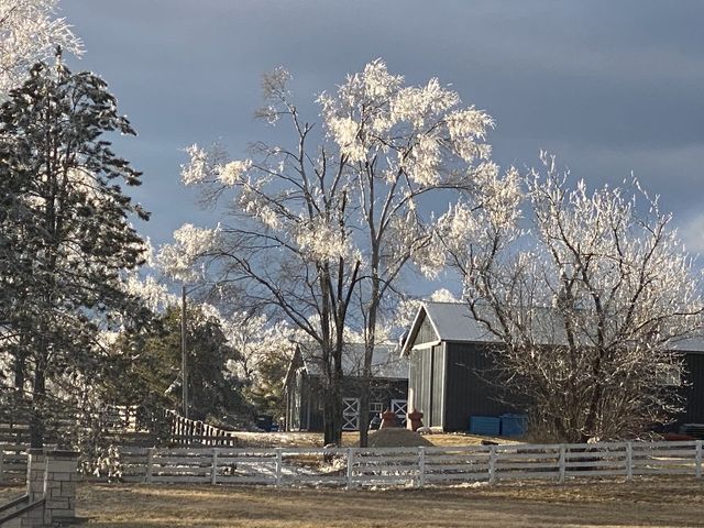 8206 Bull Valley Road, Bull Valley, IL 60098