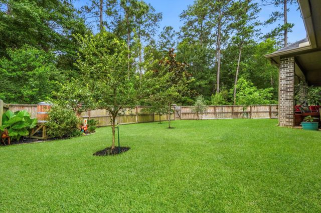 329 Sundance Peak Drive, Montgomery, TX 77316