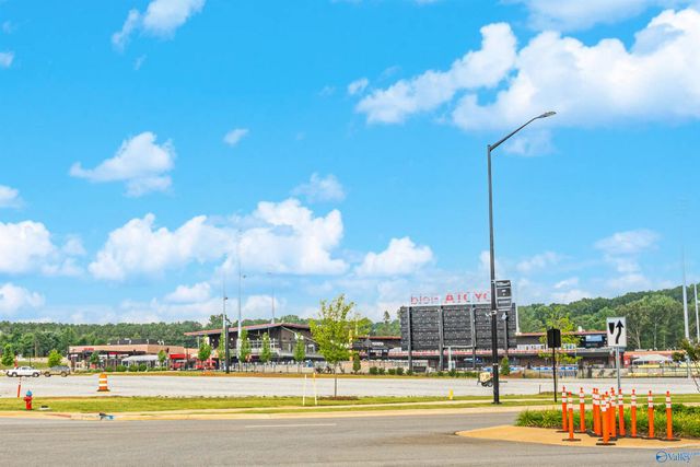 113 Iberville Street, Madison, AL 35758