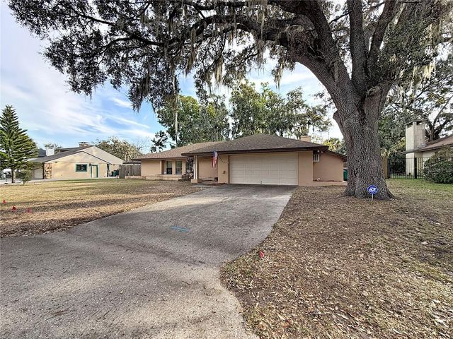 209 FIRST STREET, Tavares, FL 32778