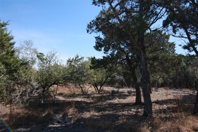 150 Patricks WAY, Dripping Springs, TX 78620