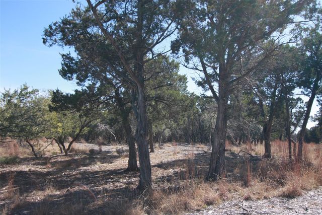 150 Patricks WAY, Dripping Springs, TX 78620