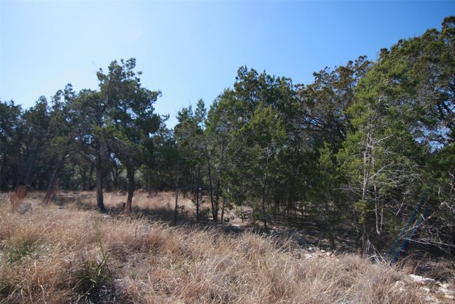 150 Patricks WAY, Dripping Springs, TX 78620