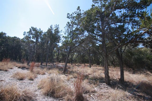 150 Patricks WAY, Dripping Springs, TX 78620