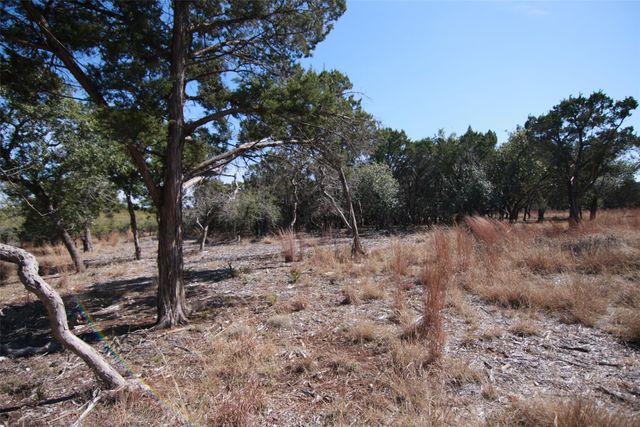 150 Patricks WAY, Dripping Springs, TX 78620