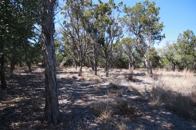 150 Patricks WAY, Dripping Springs, TX 78620