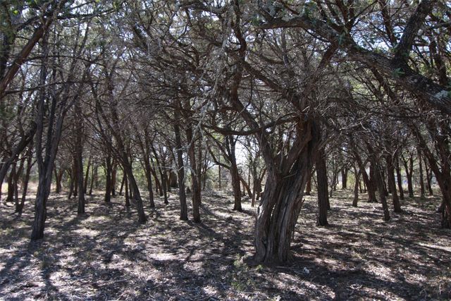 150 Patricks WAY, Dripping Springs, TX 78620