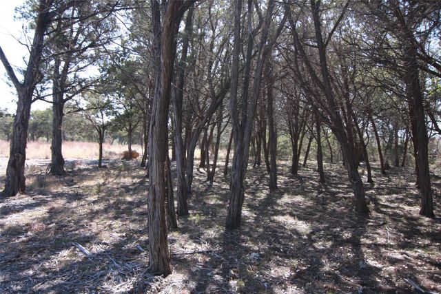 150 Patricks WAY, Dripping Springs, TX 78620