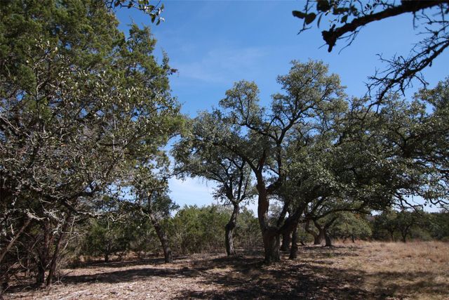 150 Patricks WAY, Dripping Springs, TX 78620