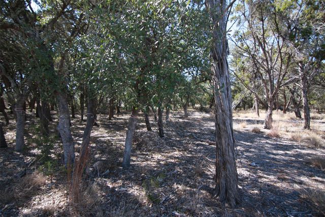 150 Patricks WAY, Dripping Springs, TX 78620