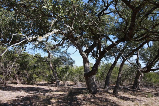 150 Patricks WAY, Dripping Springs, TX 78620