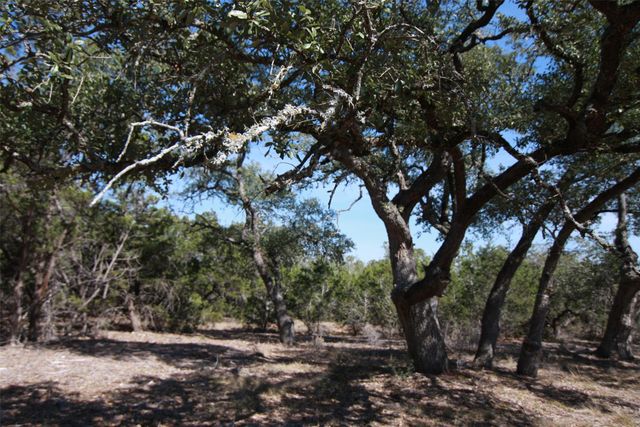 150 Patricks WAY, Dripping Springs, TX 78620