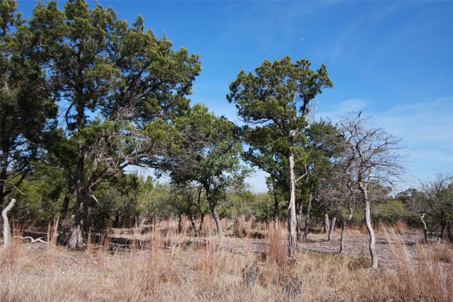 150 Patricks WAY, Dripping Springs, TX 78620