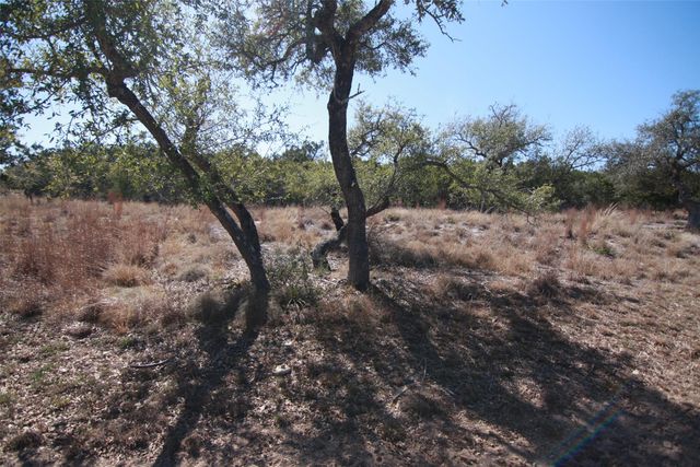 150 Patricks WAY, Dripping Springs, TX 78620