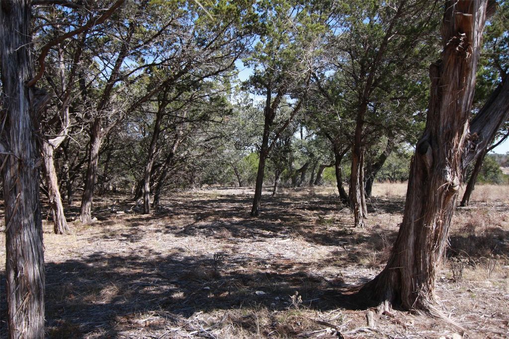 150 Patricks WAY, Dripping Springs, TX 78620