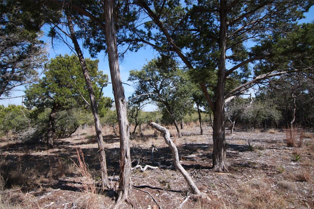 150 Patricks WAY, Dripping Springs, TX 78620