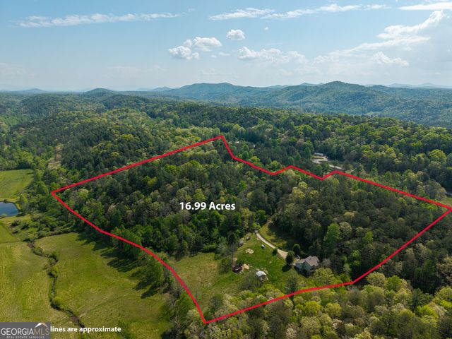 215 Murphy Lane, Mineral Bluff, GA 30559