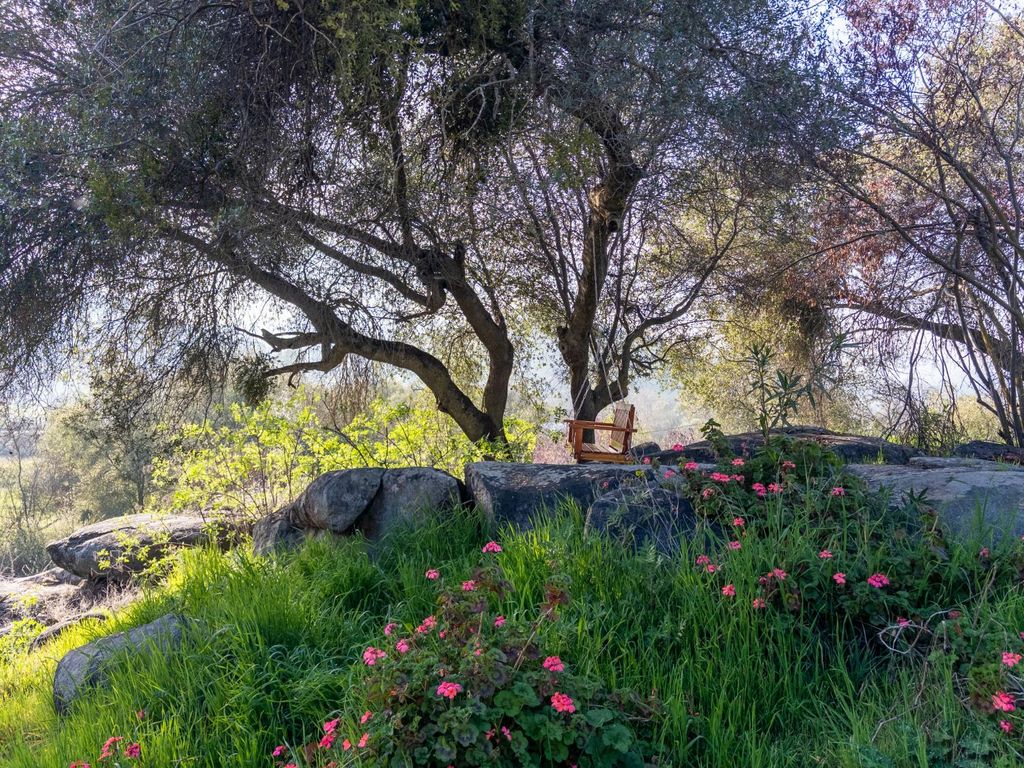 Image 38 of property listing at 38758 Aster Lane, Yokuts Valley, CA 93675