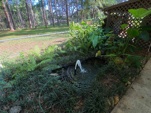 3371 Baum Road, Tallahassee, FL 32317