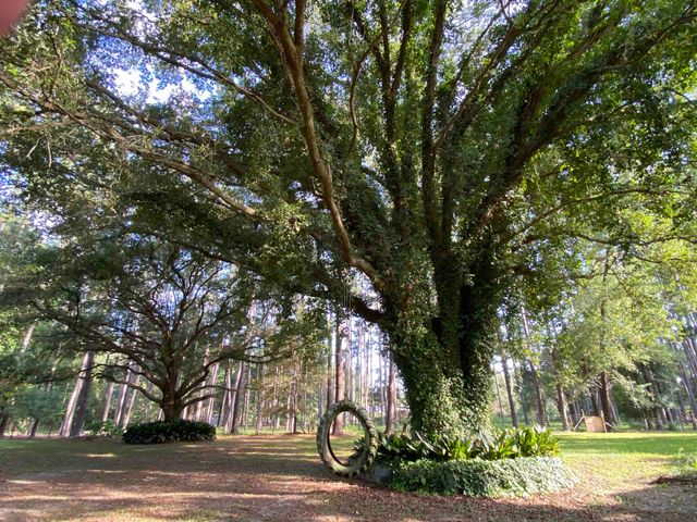 3371 Baum Road, Tallahassee, FL 32317