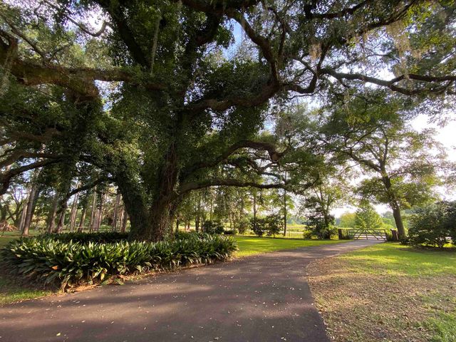 3371 Baum Road, Tallahassee, FL 32317