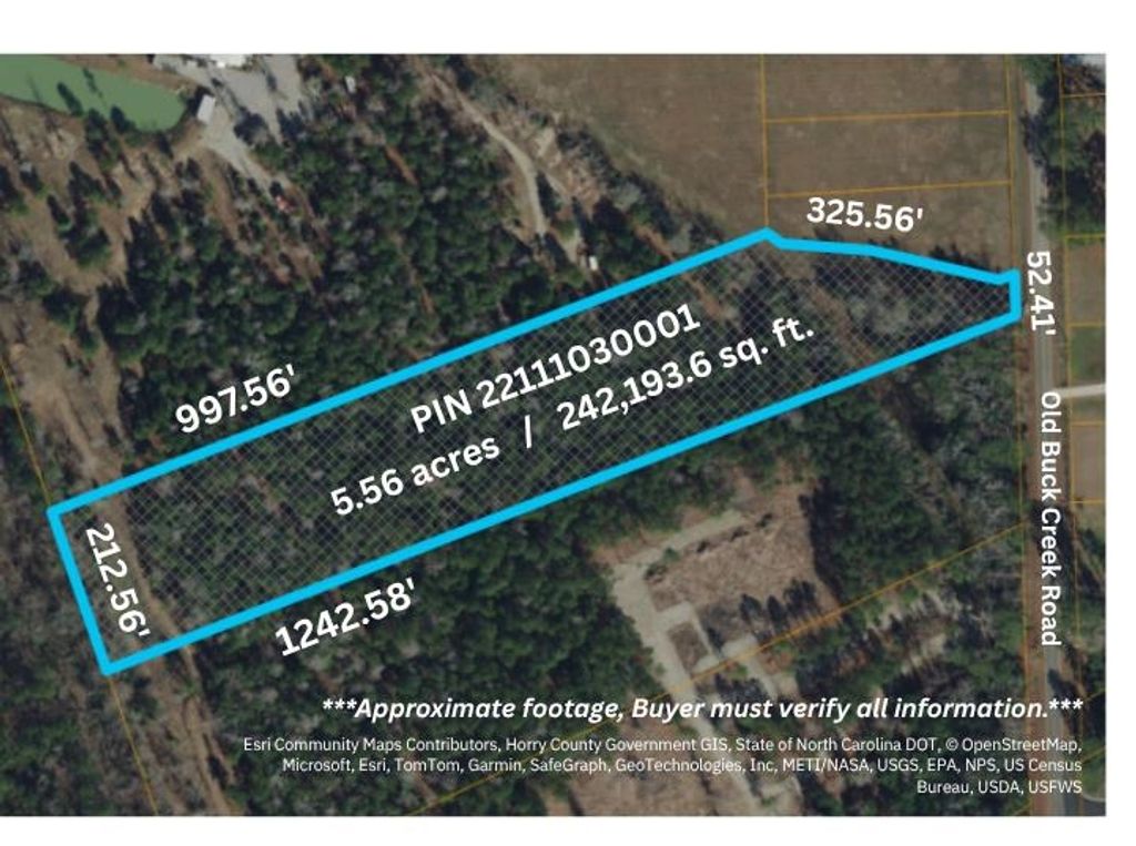 TBD Old Buck Creek Rd., Longs, SC 29568 — photo 3