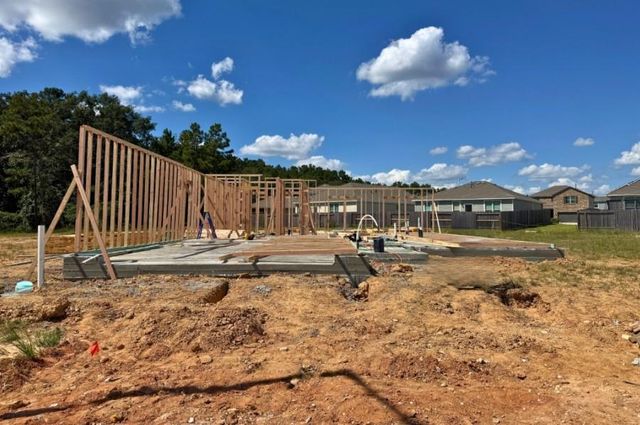 9798 Caney Bend Road, Conroe, TX 77303