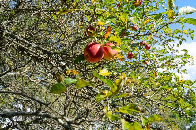 713 Riverview Road, Rexford, NY 12148