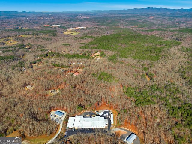 209 Hogan Pond Lane, Ball Ground, GA 30107