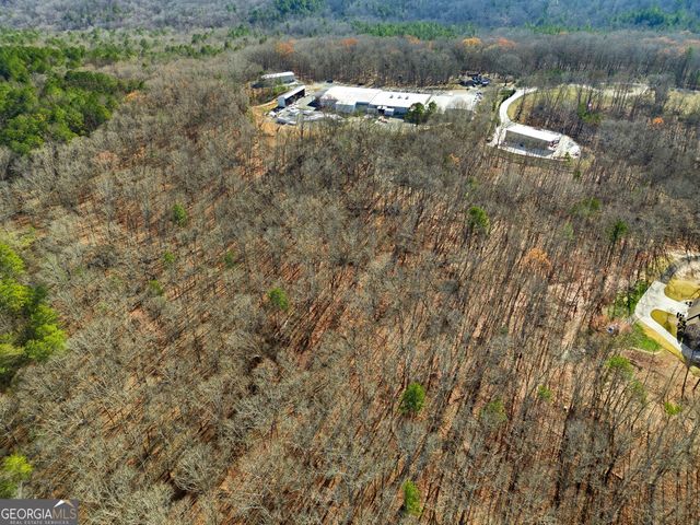 209 Hogan Pond Lane, Ball Ground, GA 30107