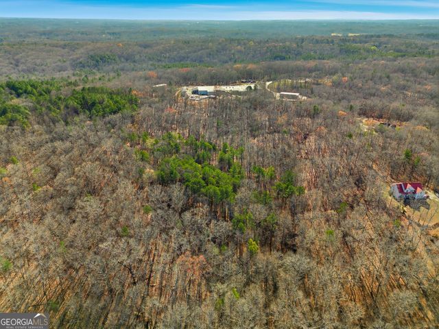 209 Hogan Pond Lane, Ball Ground, GA 30107