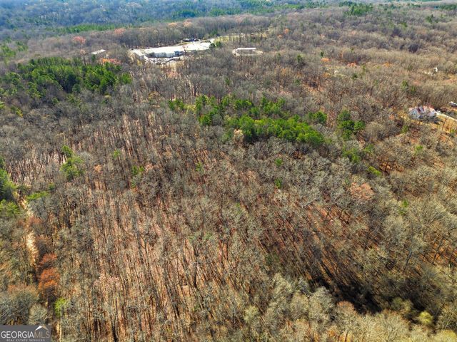 209 Hogan Pond Lane, Ball Ground, GA 30107