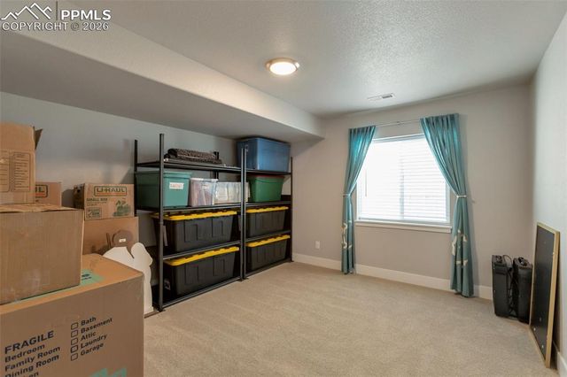 10301 Green Lake Court, Colorado Springs, CO 80924