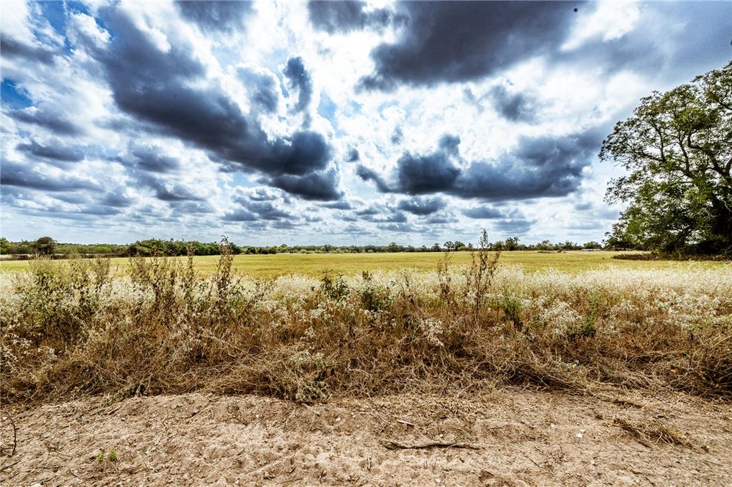 Lot 3 County Road 340, Caldwell, TX 77836 — photo 3