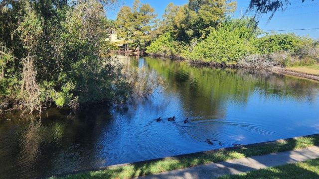 7737 EUREKA DRIVE 203, Hudson, FL 34667