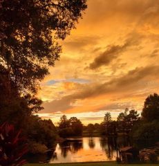 7737 EUREKA DRIVE 203, Hudson, FL 34667