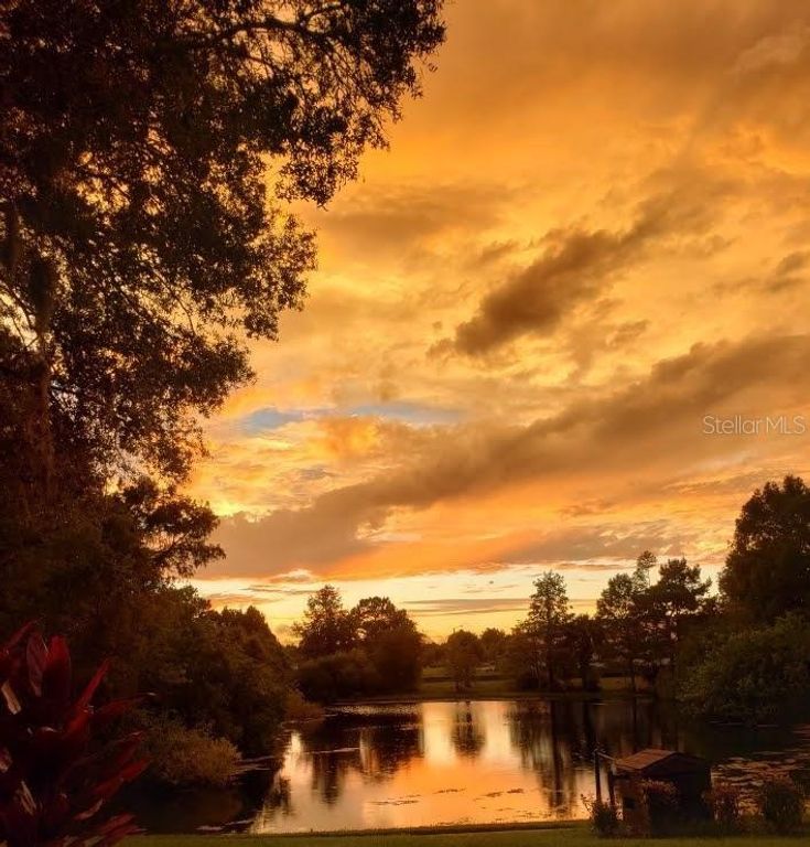 7737 EUREKA DRIVE 203, Hudson, FL 34667